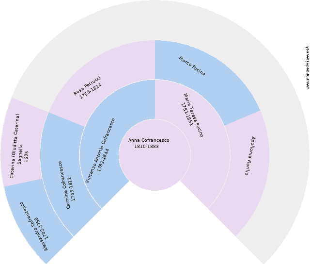 Thomas Francis Welch Circle Diagram