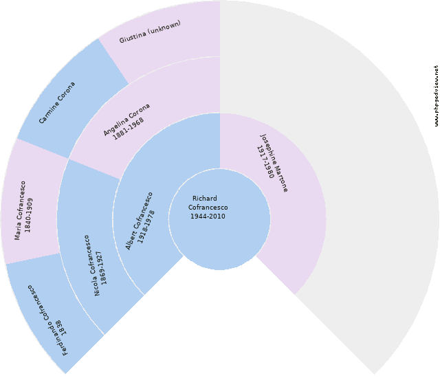 Anna Cestari Circle Diagram