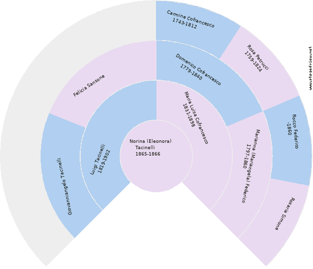 Angela Cofrancesco Circle Diagram