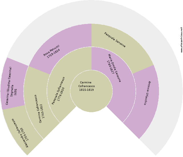 Concetta Cofrancesco Circle Diagram