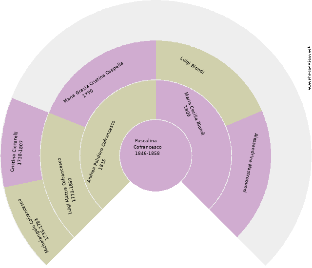 Riccardo Cofrancesco Circle Diagram