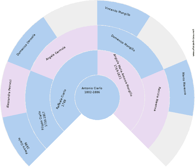 Teresa Amodio Circle Diagram