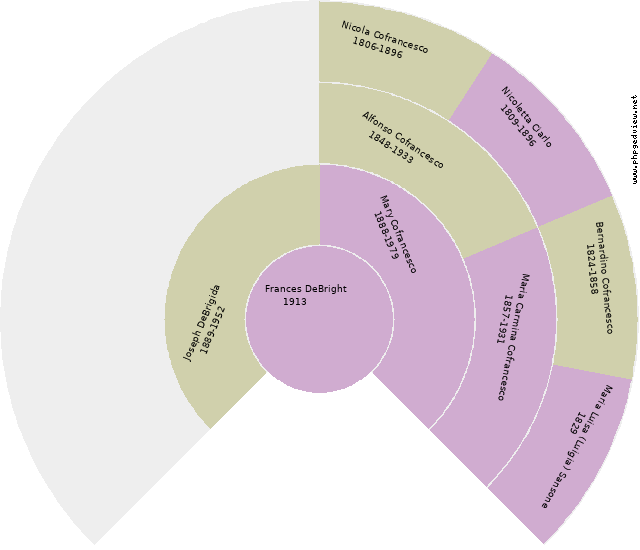 Catarina Fraco Circle Diagram