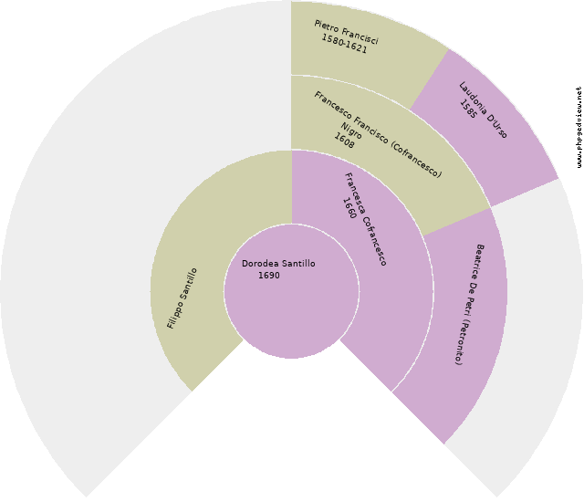 Nicoletta Ciarlo Circle Diagram
