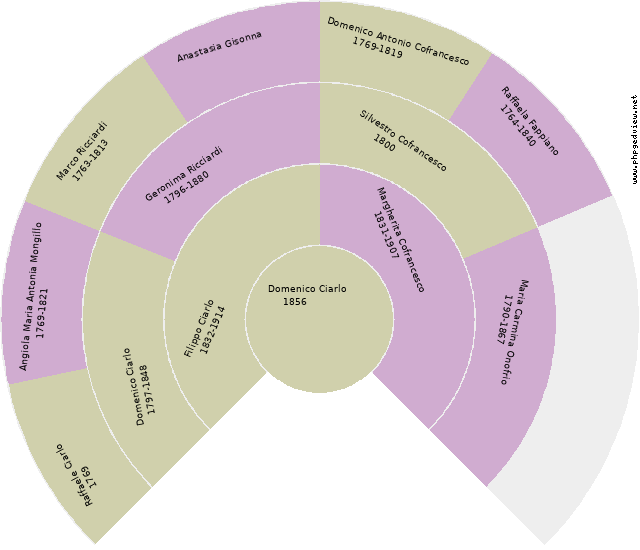 Maria Alessandra Cofrancesco Circle Diagram